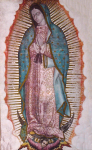 Wallfk. Nuestra Senora de Guadalupe I